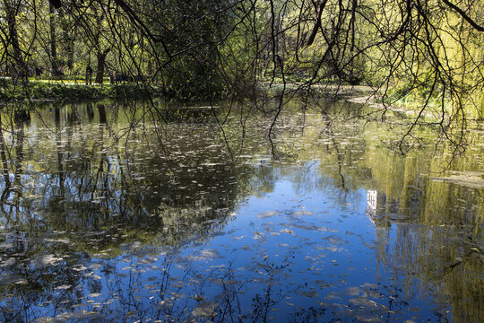 View of the pond in the Pharmaceutical Garden in early spring - Powered by Adobe