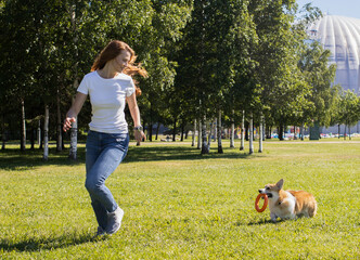 A girl with long red hair, in a white T-shirt and jeans, trains her corgi dog in the park on the grass. friendship