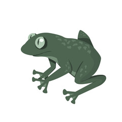 Vector illustration of a frog. Hand drawn isolated green amphibian. Design for logo, icon, children book, banner.