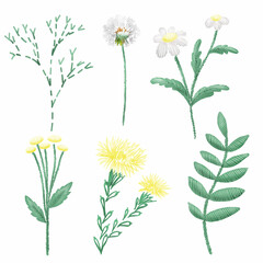 Imitation of embroidered wildflowers picture. Perfect for printing, web, textile design, souvenirs, scrapbooking.