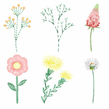 Image of cute wildflowers imitated for embroidery. Perfect for printing, web, textile design, souvenirs, scrapbooking.