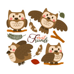 Owl Cute Character Forest Animal Cartoon Set Design