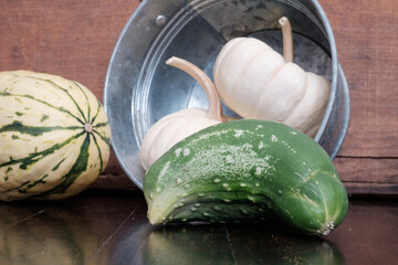 Fresh White Pumpkins  on polished wood