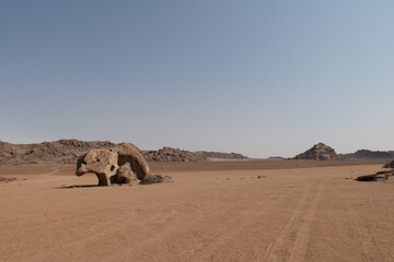 Grizzly bear rock in the arid landscape of Kaokoveld, Namibia, a popular tourist destination in Namibia