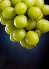 Bunch of hanging green organic grapes