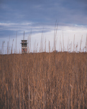 Gooseberry Island Tower On The Coast Of Massachusetts