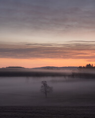 A foggy sunrise over a field in Massachusetts