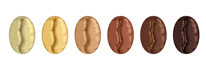 Different roasted coffee beans. Vector cartoon flat illustration.