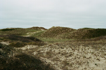 Sand Dunes next to Horseneck Beach in Westport Massachusetts