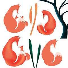 Fox and fox cubs colored silhouettes isolated on white background grass and tree elements. Сartoon wild orange fox with a lot of variation.Set of hand drawn foxes in simple flat style.