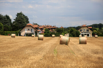 Fototapeta premium Gold fields with rural village in swiss jura alps