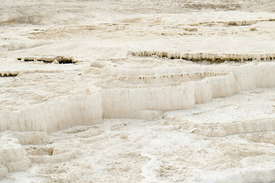Detail shot from Mammoth Hot Springs Terrace, Yellowstone National Park, Wyoming, USA