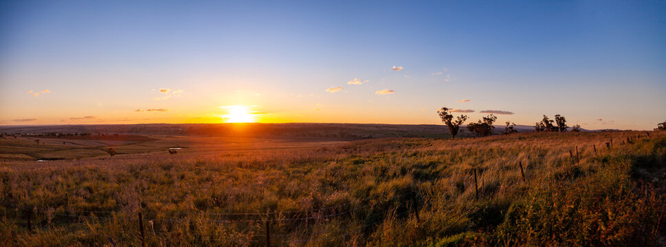 Sunset with sun on horizon over grassy farm paddock with clear sky