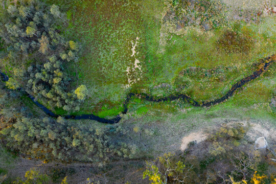 Aerial view coloured vegetation and water flow in marshy ground