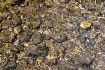 Pebbles under the water surface of a stream as a background
