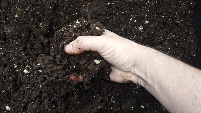 Humus, fertilized soil, compost soil. Man hands holding compost, organic soil, natural fertilizer. Agriculture and fertility concept