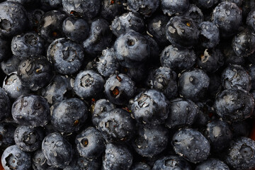 Fresh blueberry background. Texture blueberry berries close up