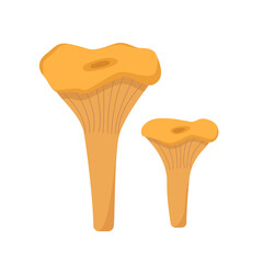 Two colored mushrooms of autumn chanterelles icons vector. Illustration isolated on white.