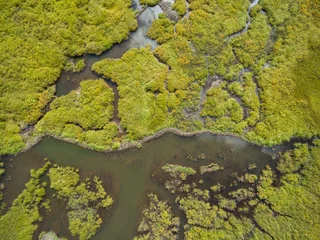 Foto op Plexiglas Wetlands from Above © cbdusty
