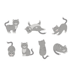 This is a set of cats in different poses isolated on a white background.