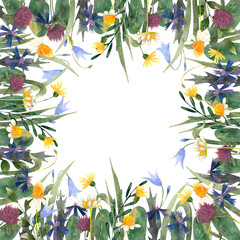 A watercolor frame of wildflowers. Wide variegated frame with clover, daisies, cornflowers, bellflowers, leaves and wild herbs. Use to design cards, invitations and decorate your celebration