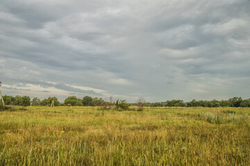 wildlife landscape in the russian federation