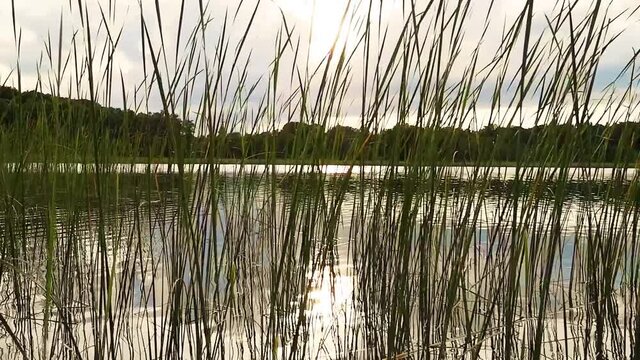 Abendd&auml;mmerung am See
