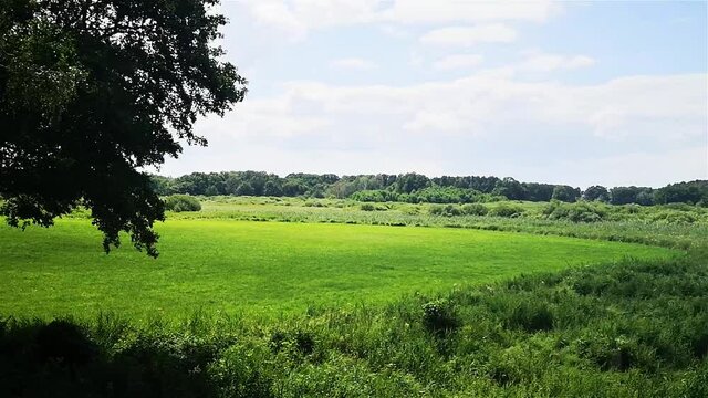 Brandenburger Heidelandschaft