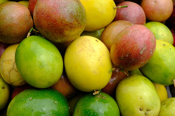 Fresh colorful tropical mangoes on display at outdoor farmers market in Panama City