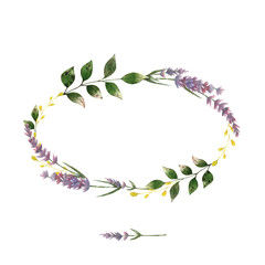 Watercolor wreath of wildflowers in a rustic style. Delicate thin wreath in a large size ellipse shape of lupines and leaves.  Use for cards, invitations and decorating
