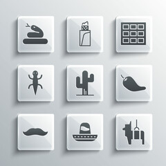 Set Mexican sombrero, Pinata, Hot chili pepper pod, Cactus, Mustache, Lizard, Snake and Chocolate bar icon. Vector