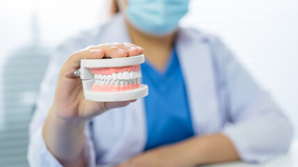 dentist holding tooth model White healthy tooth Doctor doing dental treatment