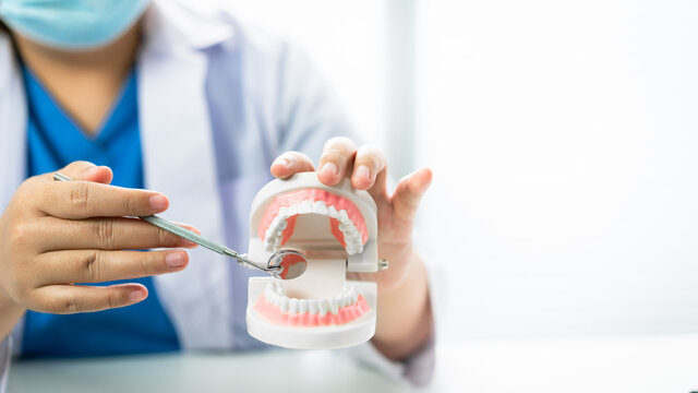 Dentist with teeth model showing how to clean