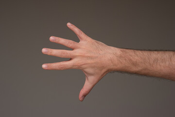 Caucasian male hand open palm generic gesture, isolated on brown background. Studio shot