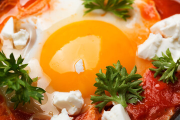 Egg with tomatoes close up