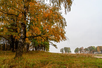 Jesienny krajobraz Podlasia, Polska