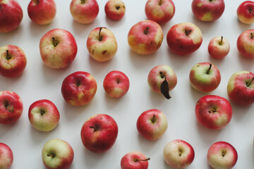 autumn pattern with fresh red apples on white background top view