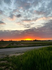Naklejka na ściany i meble sunset over fields