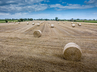 Reportage sur l' Agriculture