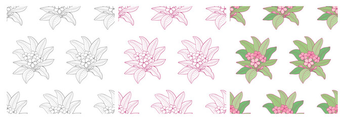 Three Plumeria Seamless Patterns: gray outline pattern, pink outline pattern, and full color pattern. 