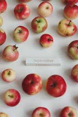 hello autumn card with fresh red apples on white background top view