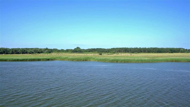 Boddenlandschaft auf Fischland-Dar&szlig;