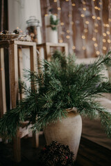 Fototapeta na wymiar christmas fir branches in a clay jug