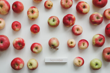 hello september. autumn card with fresh red apples on white background top view