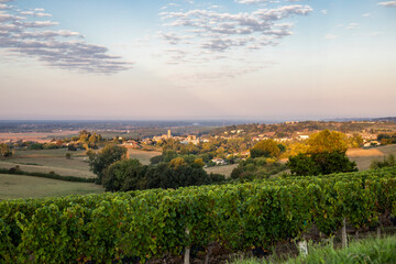 Naklejka premium panorama et village