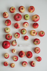hello september. autumn card with fresh red apples on white background top view