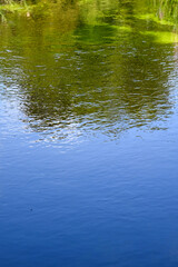 Fototapeta na wymiar Blue sky and trees reflected in the water of a gently flowing river