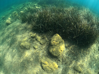 Underwater world of Mediterranean Sea. Near Marmaris, Turkey