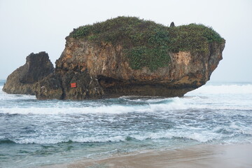 Mesra beach with a natural background. Mesra means intimate. Mesra beach also known as kukup beach...