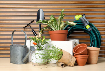 Gardening tools and houseplants on wooden table